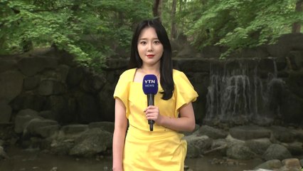 [날씨] 찜통더위 속 소나기, 내일도 계속...'물·그늘·휴식' / YTN