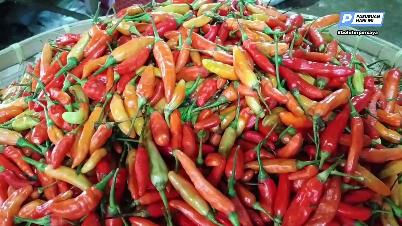 Harga Cabai Rawit Meroket hingga Rp120 Ribu, Pembeli Geleng-geleng