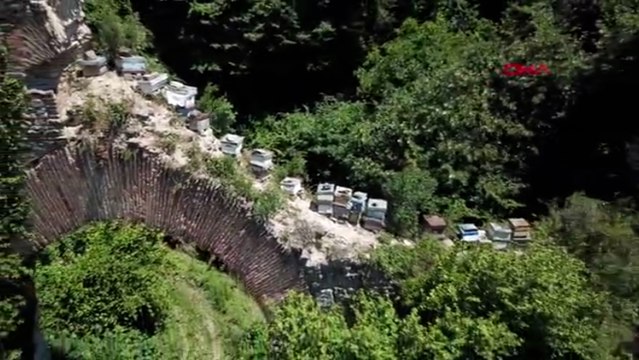 Tarihi su kemerini tahrip edip, üzerine kovanları koydular