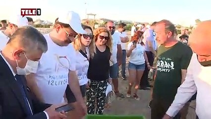 3 caretta caretta denize bırakıldı