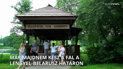 Már majdnem kész a határfal a lengyel-belarusz határon Białowieża-nál