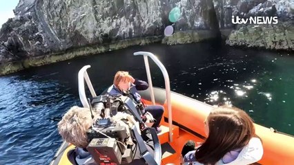 Avian flu ravages Scotland’s bird colonies