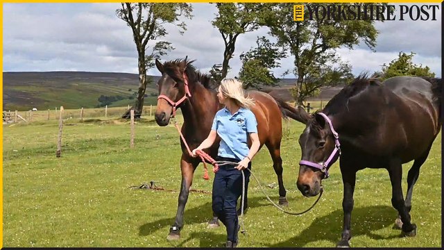 Bonnie View Retirement Livery, North Yorkshire celebrates its 10th anniversary