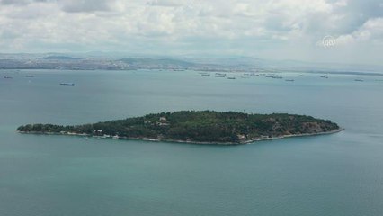 Son dakika gündem: İstanbul ormanlarında "dumansız yangın"la mücadele