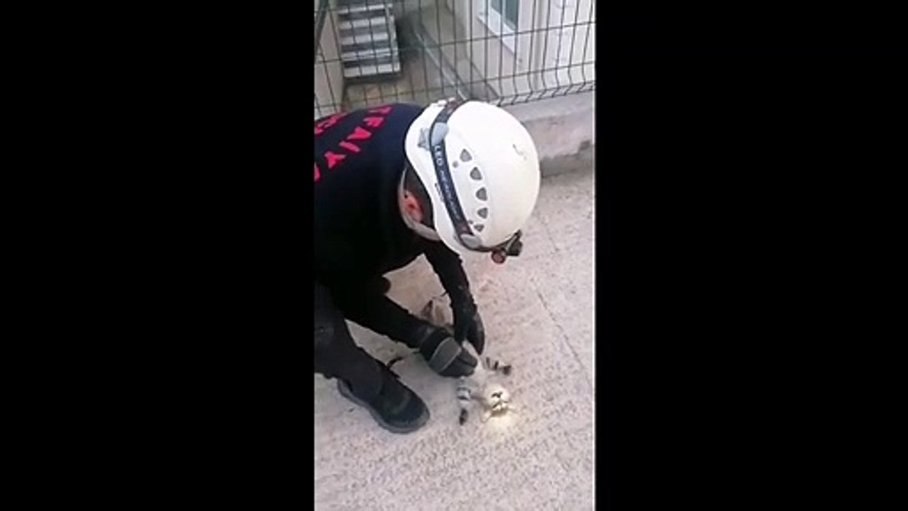 Yavru kediye dakikalarca kalp masajı yaparak hayata döndürdü
