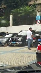 Un gato intenta sin éxito saltar dos veces una pared
