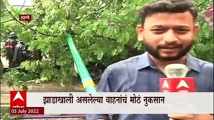 Thane Tree Falls : ठाण्यात मुख्यमंत्र्याच्या घरासमोर झाड कोसळल, सुदैवान कोणतीही जीवितहानी नाही