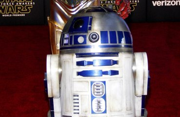 Florida man poses as Disney World staff member in attempt to steal R2-D2 statue