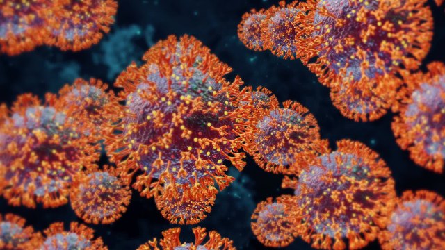 Experte warnt vor neuer Corona-Variante BA.2.75: Die Mutationen gefallen mir gar nicht