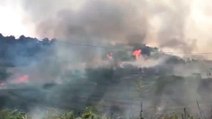 Crotone - Incendio di vegetazione in zona Brasimato (05.07.22)