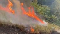 Roma - Numerosi incendi tra città e provincia (05.07.22)