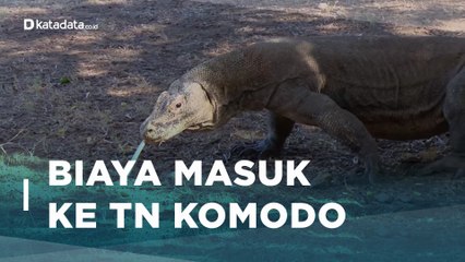 Rincian Biaya Masuk ke TN Komodo Hingga Rp 3,75 juta