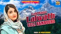 Lali Mainz Lalwath Guli Bambooro || Kashmiri Folk Music || Guli Bambooro || Ab. Rashid Soodnar