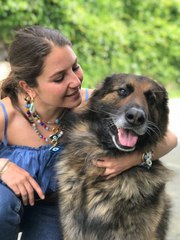Son dakika haberi! NERO KÖPEĞİN SAHİBİ İFTİRA DAVASINDA HAKİM KARŞISINA ÇIKTI