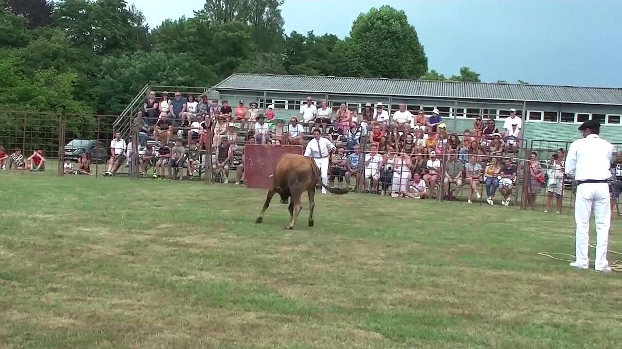 03.07.2022 Tercis les Bains Ganaderia Dussau Cuadrilla Alexandre Brethes Course Seconde