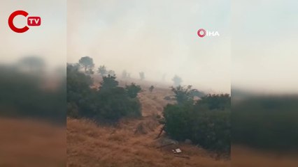 Çanakkale'de orman yangını