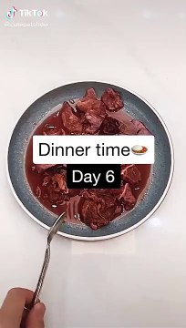 Cats are so FUNNY CAT VIDEOS TIK TOK #Shorts