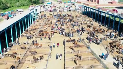 Tarım, Orman ve Köyişleri Komisyonu Başkanı Kılıç'tan Kurban Bayramı açıklaması