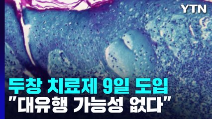 원숭이두창 치료제 9일 도입..."대유행 가능성 전혀 없다" / YTN