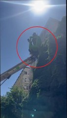 TIRMANDIĞI SARMAŞIKTA MAHSUR KALAN YAVRU KEDİ İÇİN SEFERBERLİK