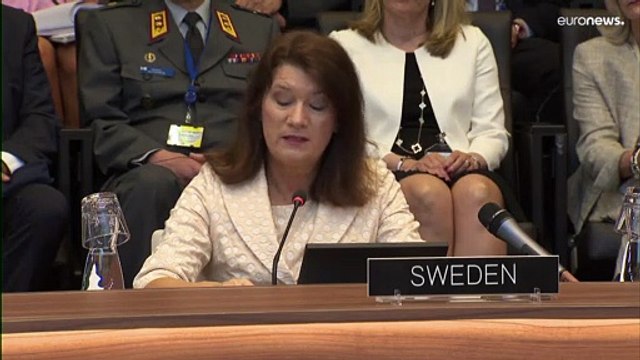 Главы МИД Финляндии и Швеции подписали протоколы о вступлении в НАТО