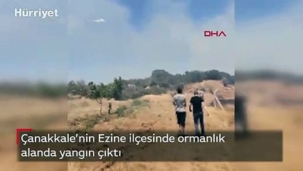 Çanakkale'de orman yangını