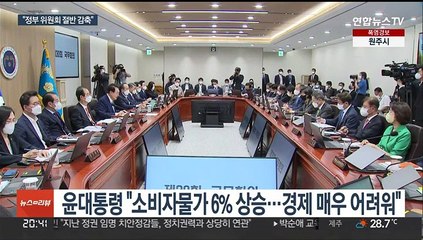 윤대통령 "정부 위원회 절반 가까이 감축…민생경제 직접 챙기겠다"