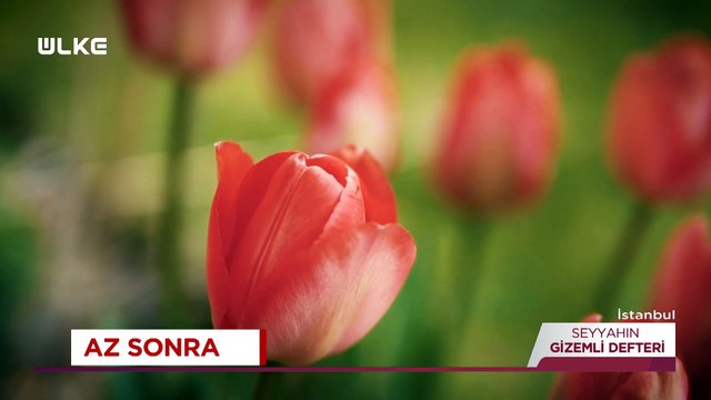 Seyyahın Gizemli Defteri – 2 Temmuz 2022 – Tılsımlı Gömlekler