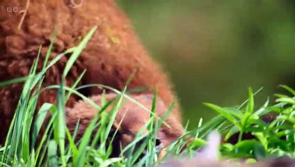 Alaska: Last American Frontier