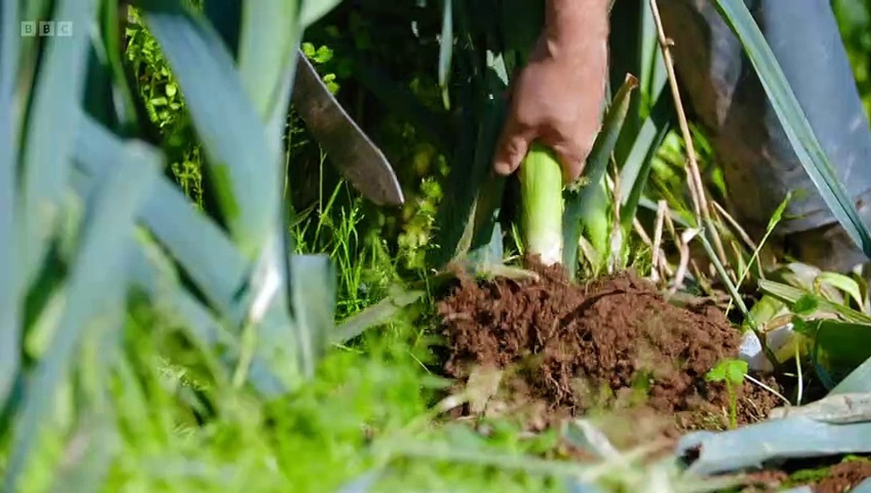 Home Ground episode 4 2022
