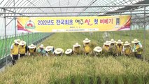 [경기] 경기 여주서 전국 첫 벼 베기...비닐하우스 논에서 수확 / YTN