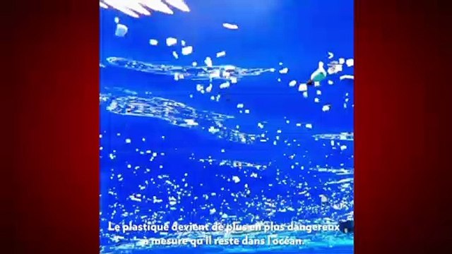 Boyan Slat: Le progrès n'est pas une menace, la technologie nous sauvera