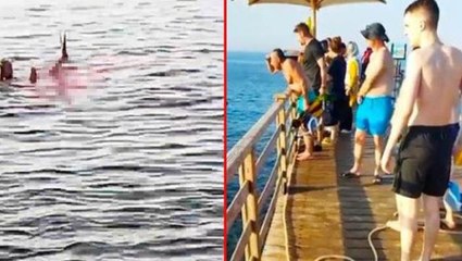 Köpekbalığının kanlı saldırısında parçalara ayrılan kadının ölümünde akılalmaz cankurtaran ihmali