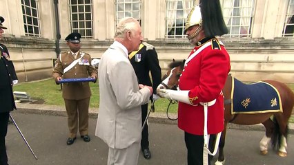 Prince Charles presents Jubilee Medal to Regimental Pony