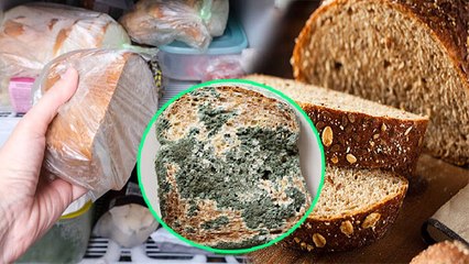 ब्रेड फ्रिज में रखने से क्या होता है l ब्रेड फ्रिज में रखना चाहिए या नहीं |Boldsky*Health