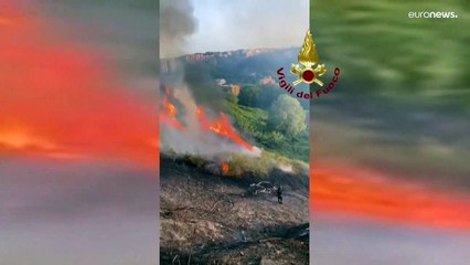 Dopo Roma, ora l'incubo degli incendi è in Puglia