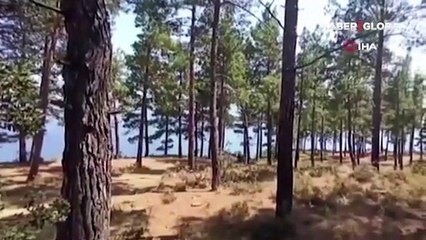 Piknik yaparken ormanı yaktılar! 3 kişi tutuklandı