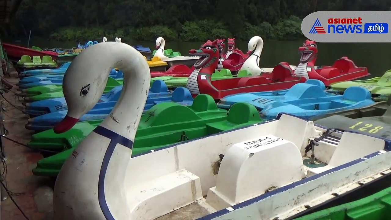 Ooty Rain : தொடர் மழையால் உதகை படகு இல்லத்தில் படகுசவாரி ரத்து!