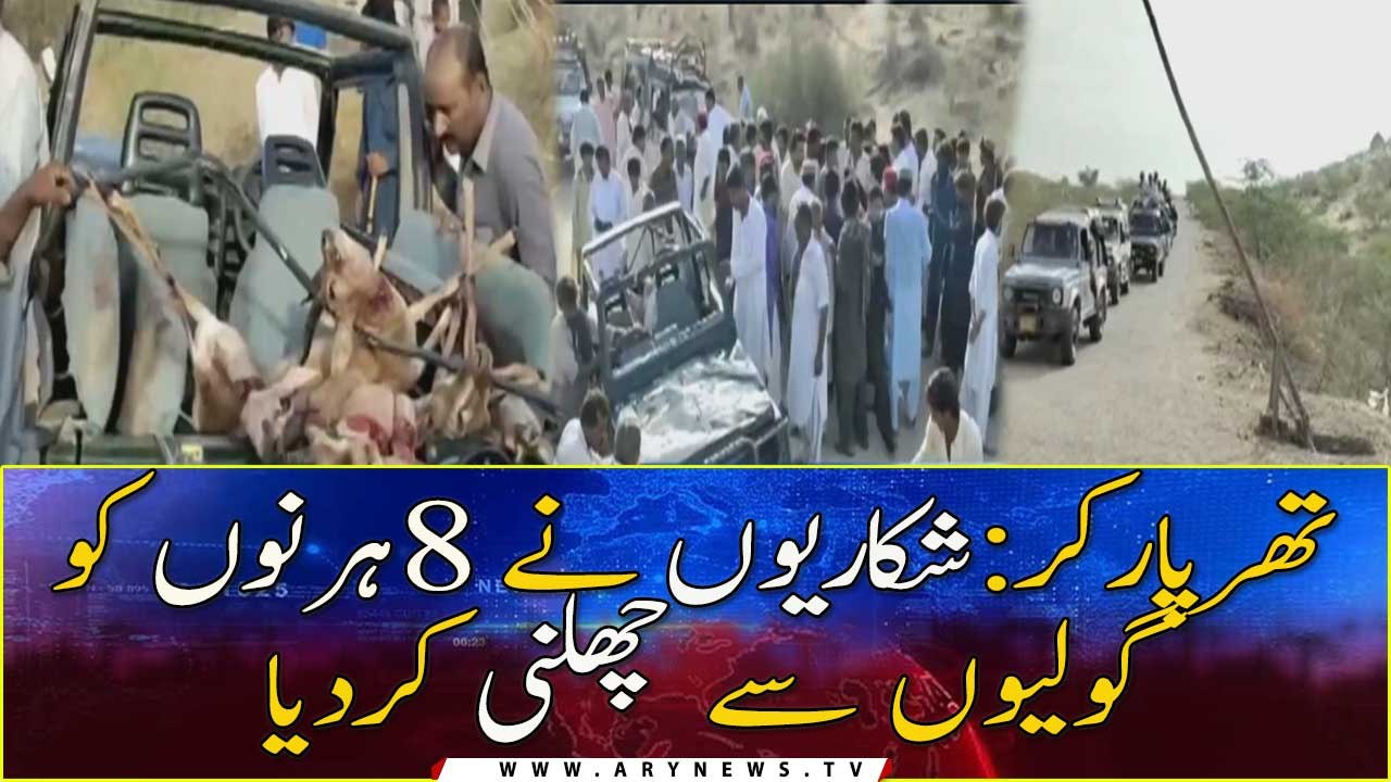 Tharparkar: Hunters shot dead 8 deers