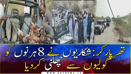 Tharparkar: Hunters shot dead 8 deers
