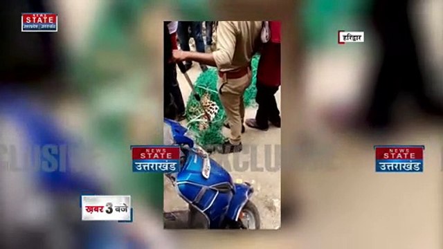 Uttarakhand News : Haridwar के रिहायशी इलाके में घुसे गुलदार को किया गया रेस्क्यू | Haridwar News |