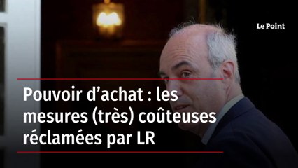 Pouvoir d’achat : les mesures (très) coûteuses réclamées par LR