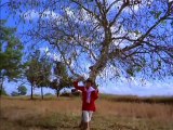 Film: 1969 Bandhan - Aa jao aa bhi jao