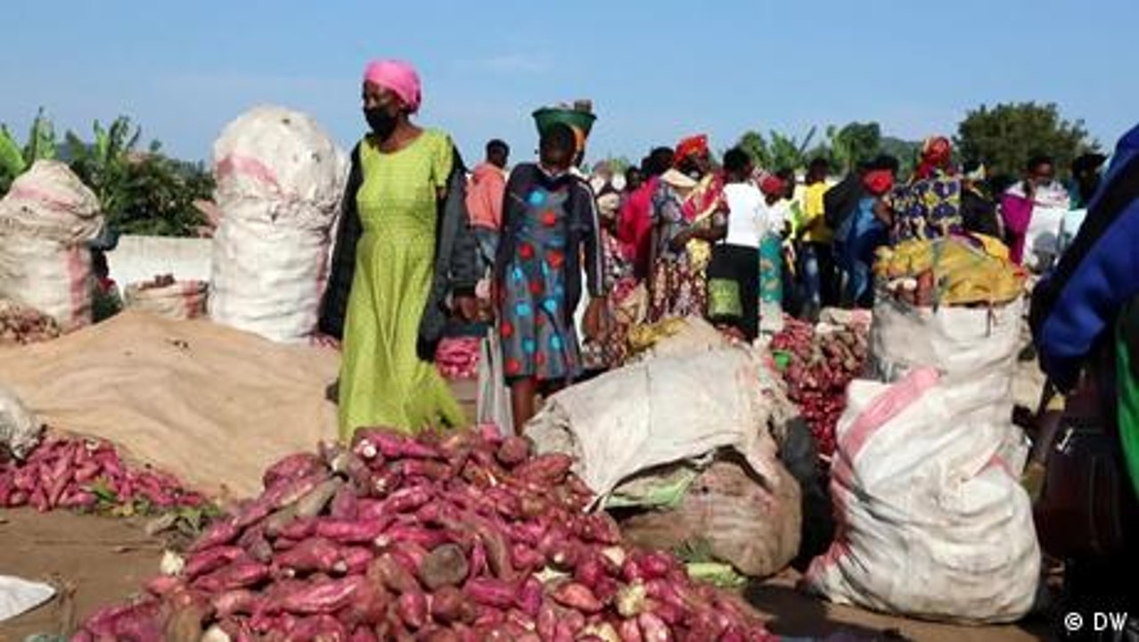 Ernährungskrise - werden wir morgen noch alle satt?