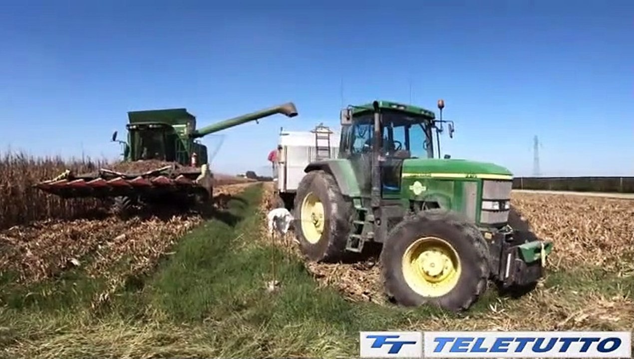 Video News - SICCITA', E' STATO D'EMERGENZA