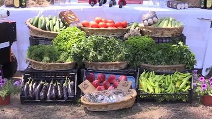Ecdat yadigarı tarım lisesine yerleştirilecek öğrencilere burs verilecek