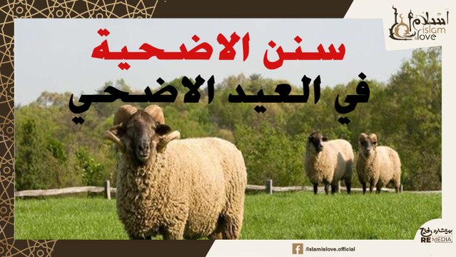 سنن الرسول عليه الصلاة والسلام في الأضحية - مهم جدا