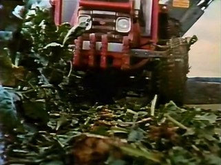 PBS NOVA - Sweet Solutions