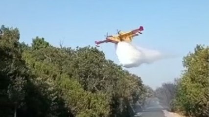 Latina - Incendio nel parco nazionale del Circeo (05.07.22)