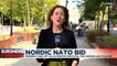 'Historic moment': Finland and Sweden move closer to NATO membership